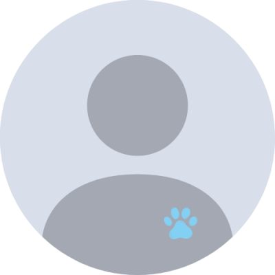 Design sans titre (4)